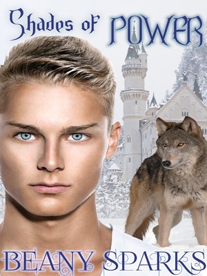 Shades of Power - ebook